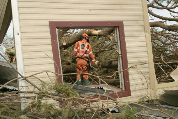 Best Tree Mulching  in Mount Vernon, KY